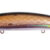 MAKORA-125 MA110F-125
