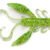 ROCK CRAW-037 140123-037