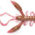 ROCK CRAW-S14 140123-S14