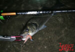 Lucky John 3D MAKORA SHAD TAIL 5" / 12.7cm - Image 6