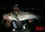 Lucky John 3D MAKORA SHAD TAIL 5" / 12.7cm - Image 7