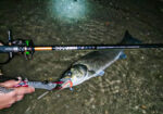 Lucky John ANIRA SEABASS WADING RODS - Image 15