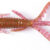 HOGY 5,6cm-S14 140163-S14