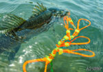As-Lures HOOKAN - Image 5