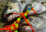 As-Lures HOOKAN - Image 6