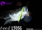 PAZDESIGN REED FEEL 150SG - Image 3