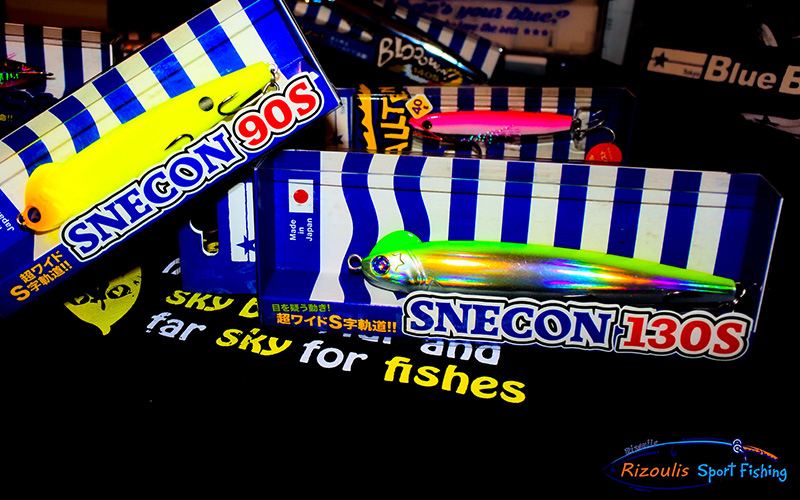SNECON 13