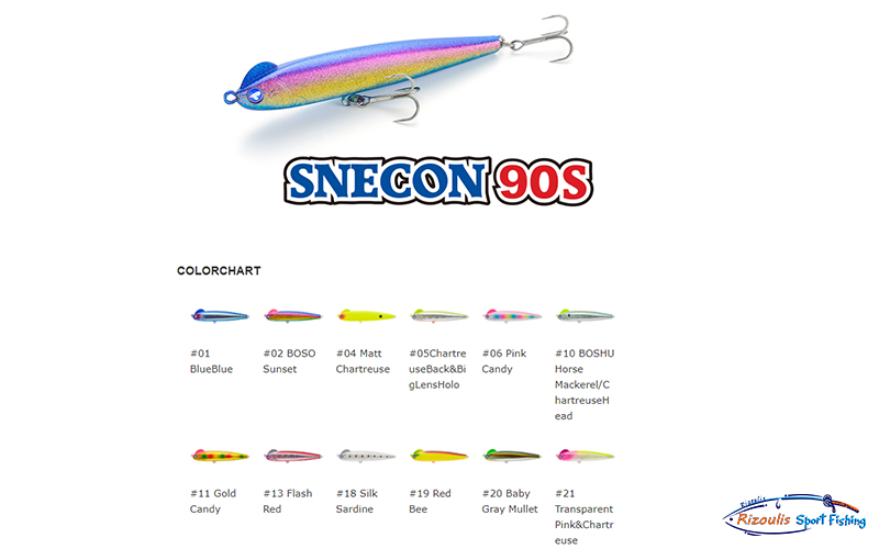 SNECON 17