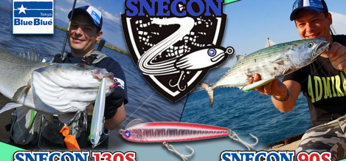 anoigma snecon 677x316 c