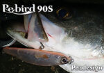 PAZDESIGN REBIRD 90S - Image 6