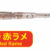 Aji Milk Bachi Keimura Red Rame PG-AMBA-911253