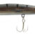 Alpha Minnow 01 05.06.1551