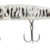 Alpha Minnow 02 05.06.1552