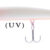 Alpha Minnow 04 05.06.1554