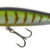 BASARA 70SP-139 BA70SP-139