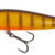 BASARA 70SP-146 BA70SP-146