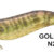 EGISTA 3,0 GOLD PRAWN N28 TS-E30-830756