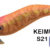 EGISTA SHALLOW 3,5 Keimura Orange S-21 TS-E35S-831661