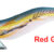 EGISTA 3.0 RGA TS-E30-830251