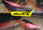 DTD BALLISTIC EGI 2.8B - Image 6
