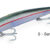 BARRACUDA 200 sardina DTD-50336-S