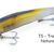BARRACUDA 175 transparent natural smelt DTD-50335-TS