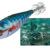 BLOODY FISH 2.5 bonito DTD-10834-BO