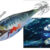 BLOODY FISH 2.0 natural pilchard DTD-10833-NP
