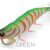 GAMBERINO 3.0 green DTD-20505-G