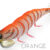 GAMBERINO 3.0 orange DTD-20505-O