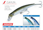 DTD GAVUN 50F - Image 3