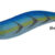 PREMIUM AURI 3.0 blue DTD-20316-B