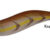 PREMIUM AURI 3.0 brown DTD-20316-BN
