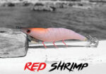 DTD RED SHRIMP 3.0 - Image 3
