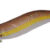 RETRO OITA 3.0 brown DTD-20306-BN