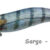 REAL FISH EGI 3.0 sargo DTD-20805-SO