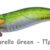 REAL FISH EGI 3.0 sugarello green DTD-20805-SG