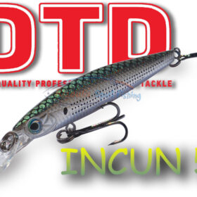 DTD INCUN 50