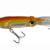 LIGANJ 160mm HONEY DTD-50002-H