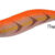 PREMIUM AURI 3.5 orange DTD-20317-O