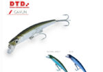 DTD GAVUN 70F - Image 3