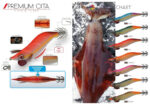DTD PREMIUM OITA 3.0 - Image 3