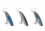 DTD REALISTIC FISH 100 - Image 3