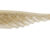 Curvy Shad 10cm 05 04.07.1005
