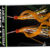 ASSIST SKIRT SET ORANGE LIGHT RY-RT-OL