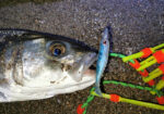 Remixon Curvy Shad 7.5cm - Image 5
