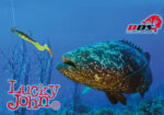 Lucky John KUBIRA FIRE TAIL 9'' 22,8cm - Image 6