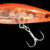SIDE SHRIMP SDSP003 ZK-SS-SDSP003