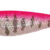 MKS TOTO 7CM C05 RYJMKSTT05