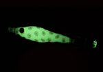 RYUJI Silicon Soft Squid 7CM - Image 3